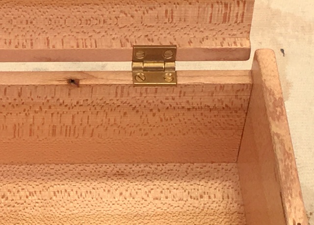 Hinge and Old Nail Detail